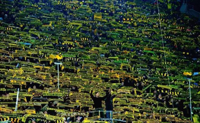 猛虎嗅蔷薇读后感,猛虎嗅蔷薇原文