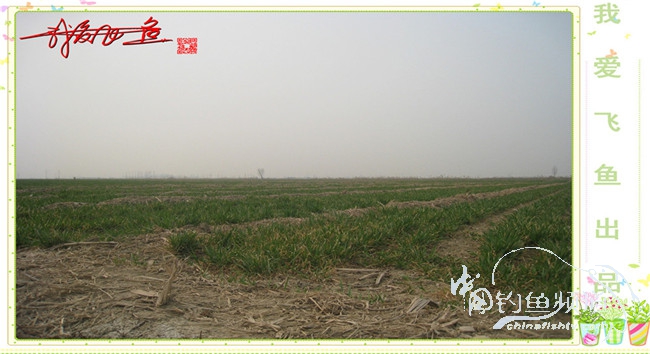 2016之我爱飞鱼觅得好钓点