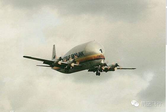 变异变形飞机,变异飞机鹦鹉