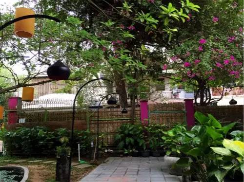 柬埔寨网红美食素食,柬埔寨美食小吃排行榜