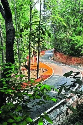 天热了，再不减肥就晚啦！武汉最适合跑步的绿色跑道，看看你家门口有没有