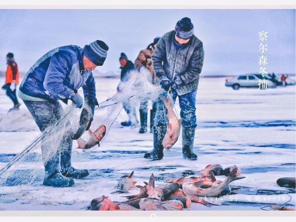 牧马少年歌曲完整版,牧马少年草原