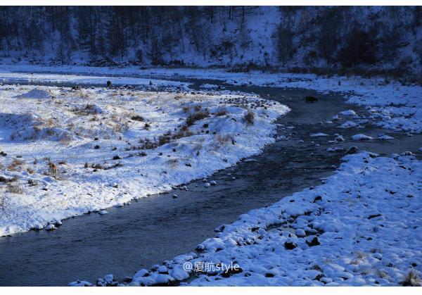 牧马少年歌曲完整版,牧马少年草原