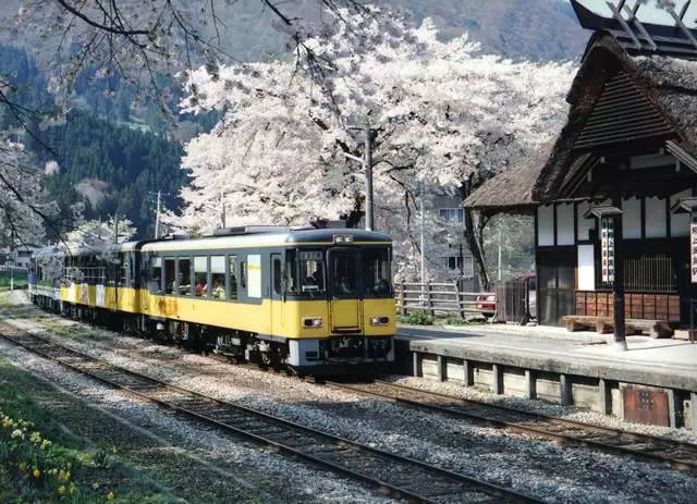 赏樱、观雪，私人版全宇宙最美8条铁路线|YOLO