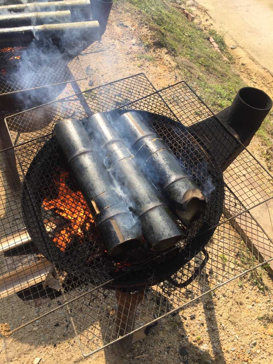 阳春三月下从化，去广东最美乡村植树、挖春笋、野炊吧！[3.12]