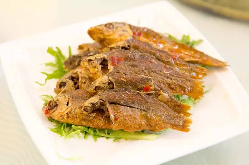 让京津冀三地达人给你最有看头的白鹿温泉|动感冬冀