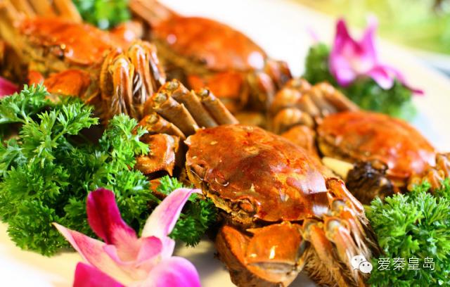 秦皇岛海鲜推荐,秦皇岛海鲜美食推荐