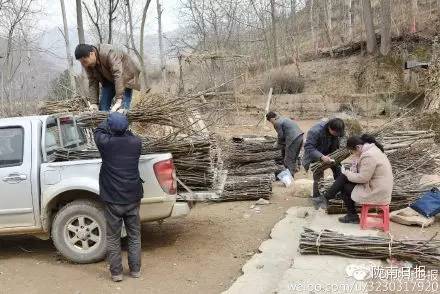 新闻资讯我县春耕春播热火朝天,春耕忙新闻