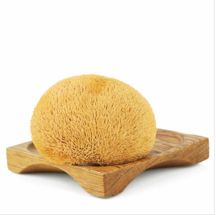 真假猴头菇,猴头菇质量好坏的鉴别