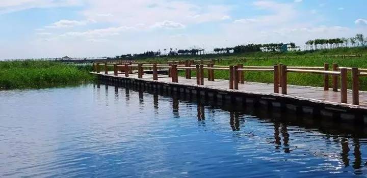 重庆免费景区有哪些地方,重庆景区有哪些景点门票免费