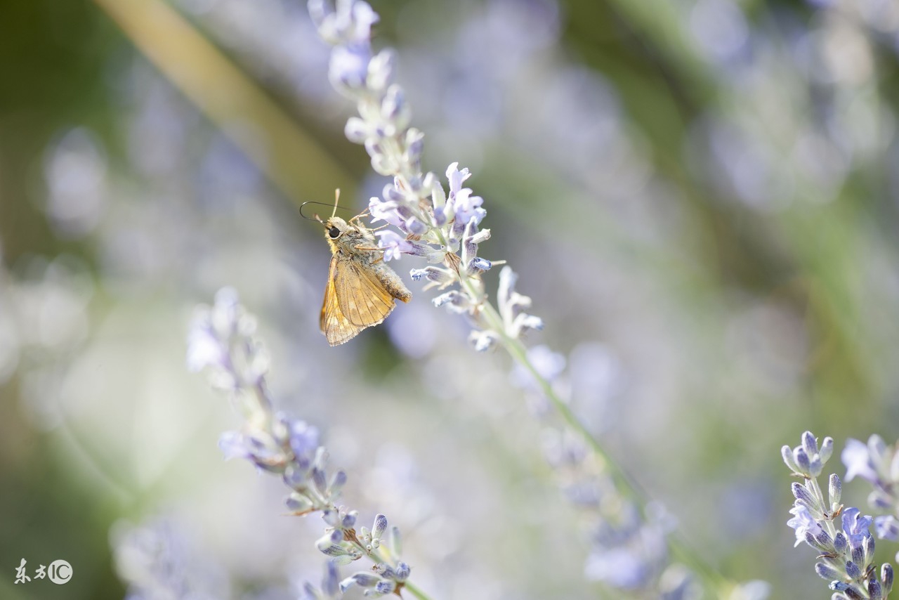 实用生活妙招技巧,实用生活妙招全集