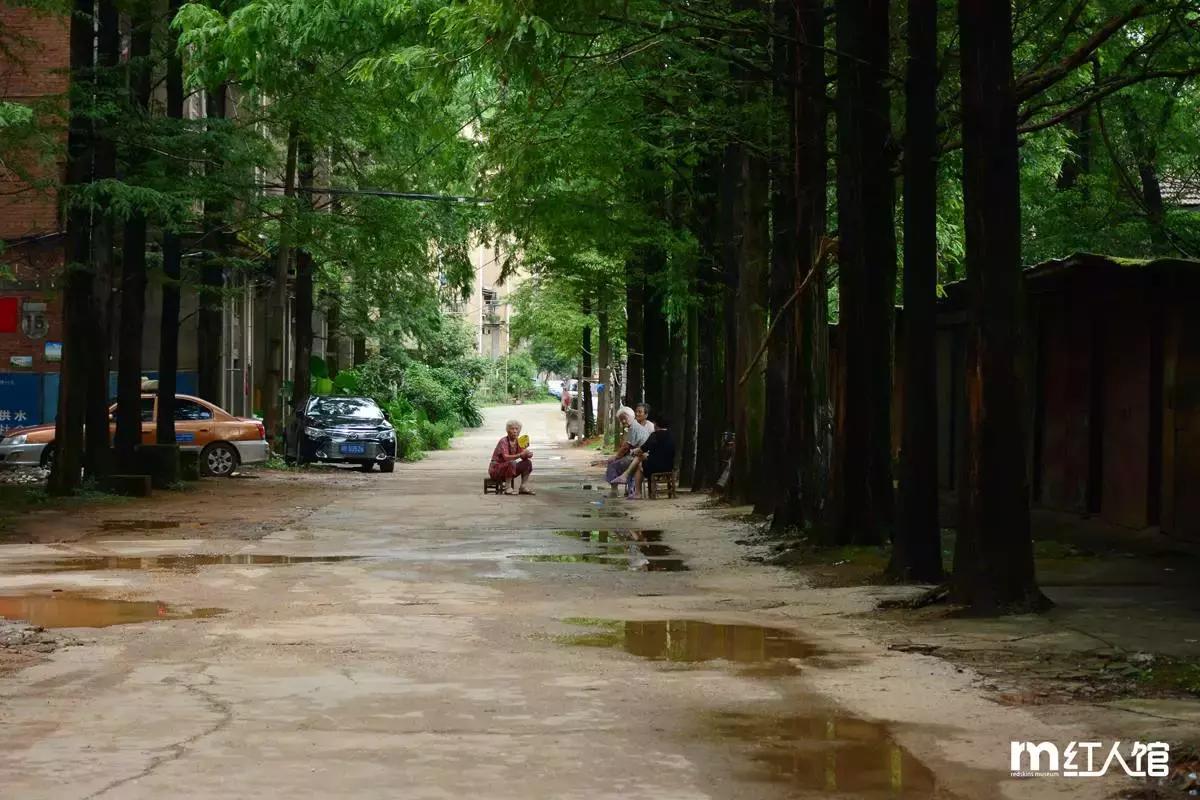 在株洲生活,生活在株洲是一种怎样的体验呢