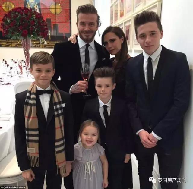 小贝的新家,小贝新家