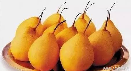 处暑养生吃鸭和鹅的功效一样吗,处暑节气的传统习俗及养生攻略