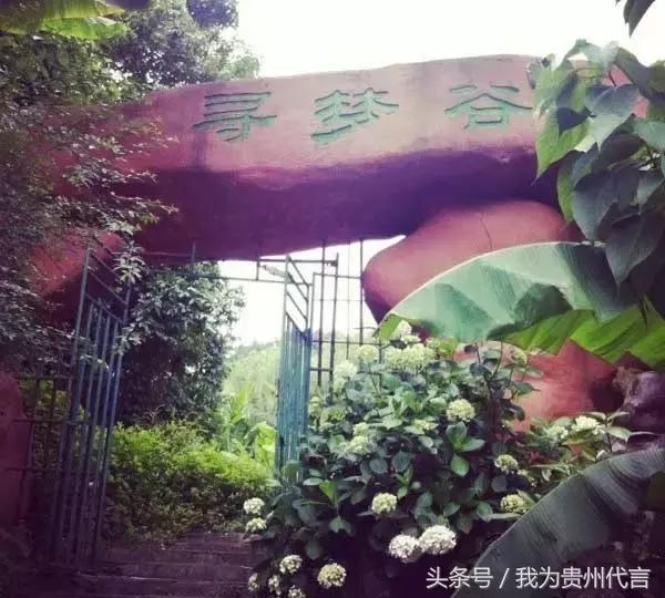 贵阳十大农家乐景点推荐,贵阳休闲农庄