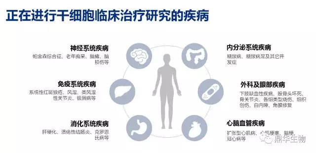 高位截瘫14年再度站立：干细胞治疗离我们有多远？