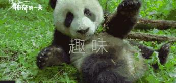 豆瓣9.7的冷门好片，送给每个热爱生命的人