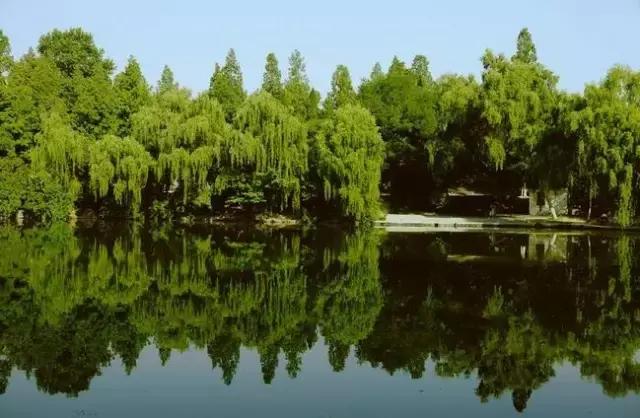 西安哪些景区要免费了,西安哪些景区是免费