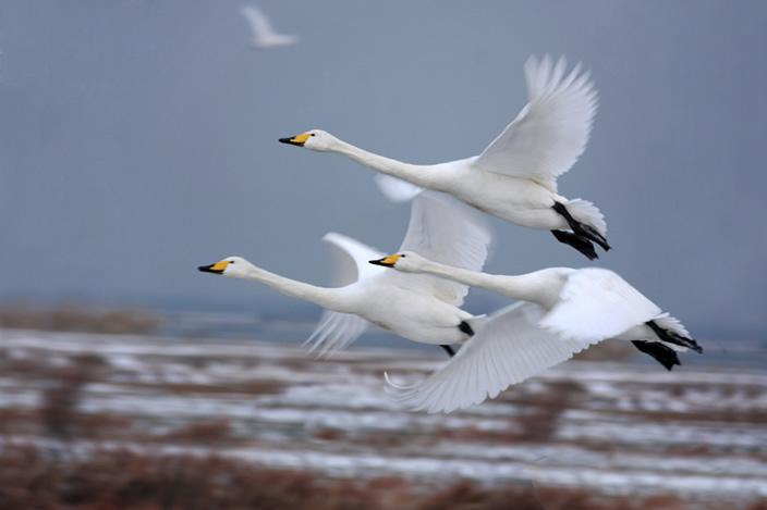 满分作文议论文700字以上,高中优秀作文满分范文议论文