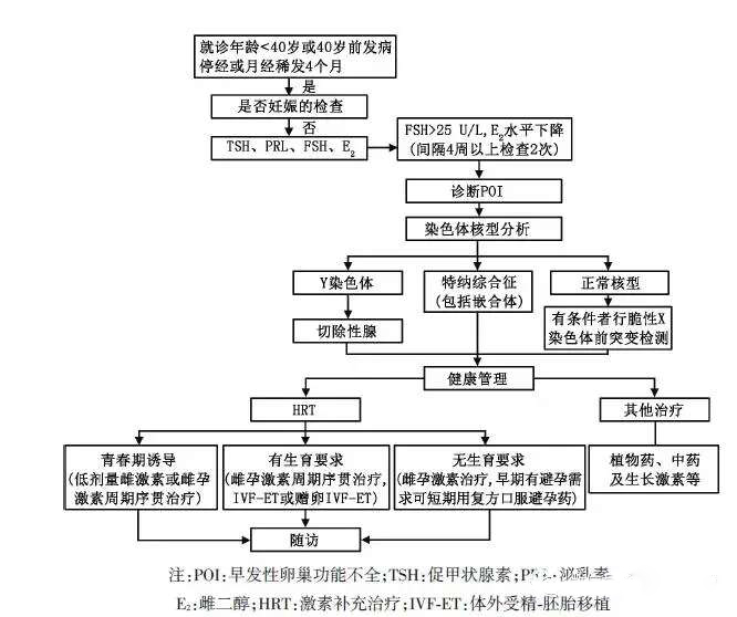 最新指南发布：早发性卵巢功能不全的激素补充治疗专家共识
