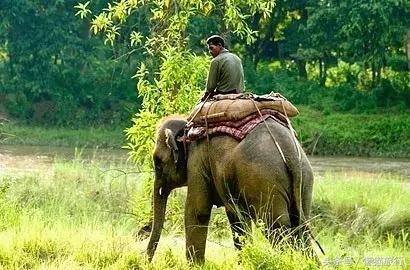 泰国购物必买清单中国品牌,泰国旅游必买品泰国面霜