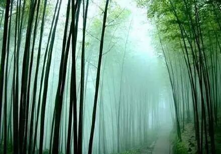 竹泉村景区,竹泉村咋样