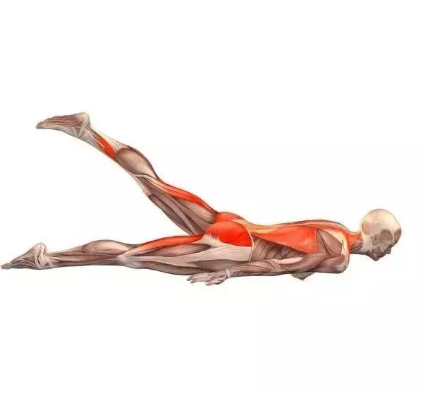 紧致臀线的正确方法,紧致肌肉和提臀的锻炼方法