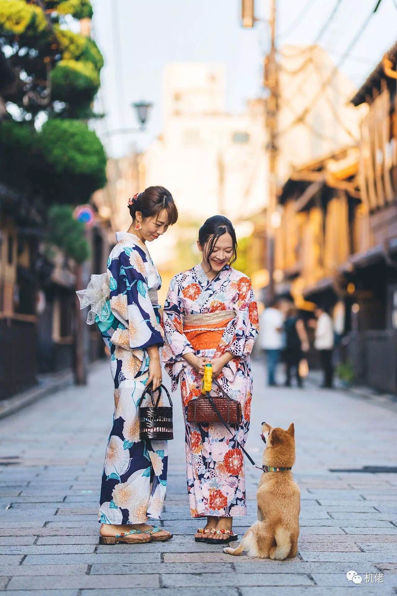 佳能6d2相机好不好,佳能6d2视频测评