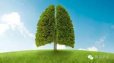 合肥住房租赁政策,有关合肥市出租房政策