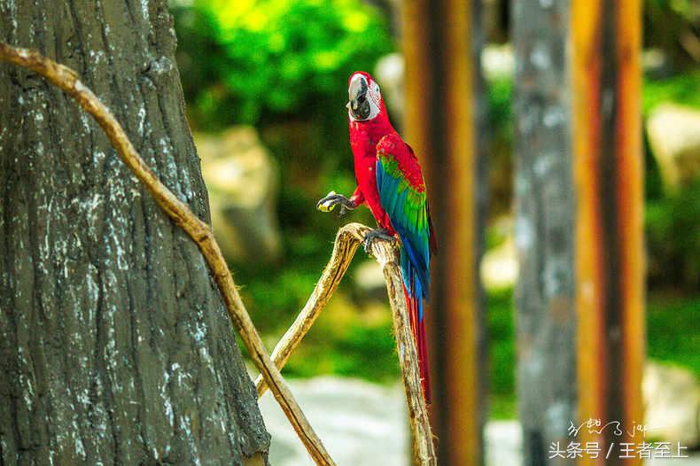 越南最美山庄,越南最美的桃源