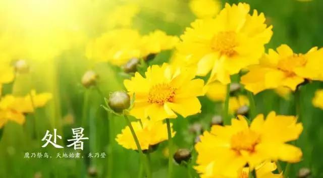 小暑大暑立秋处暑的习俗有哪些,处暑节气的民间习俗及饮食禁忌