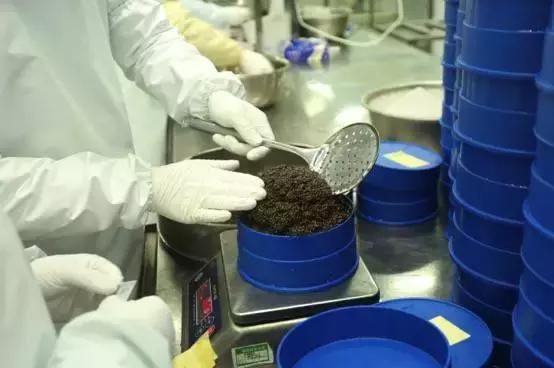 鲟鱼有没有鱼子酱,鲟鱼卵鱼子酱