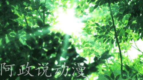 推荐一部看了3遍的动漫,推荐一部你从没看过的动漫