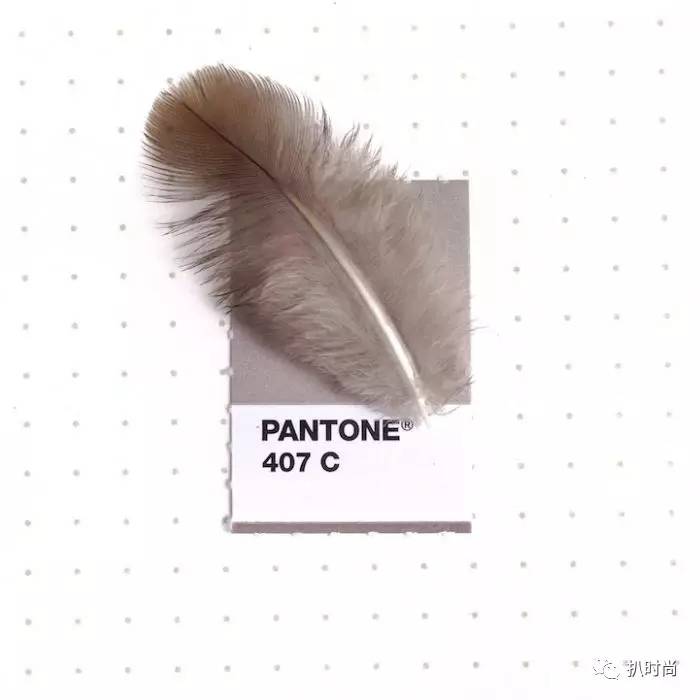 pantone潘通灰色号,pantone潘通色怎么查色值