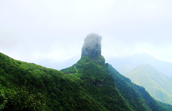天天有人去山上采蘑菇,每天来观看的游客上万人