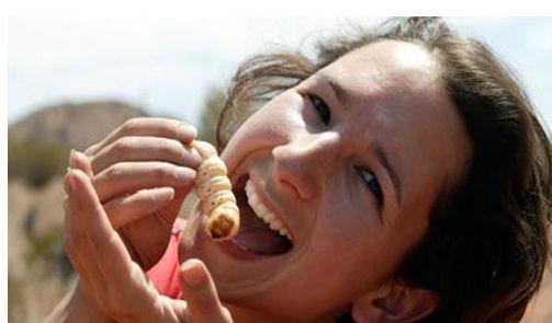 史上十大最恶心的食物,十种致命奇葩食物