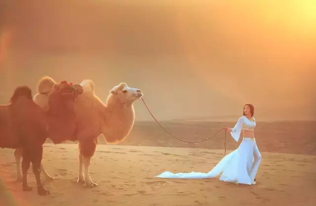 三千年的情缘,三千年的企盼只为这一季的金秋(附攻略)