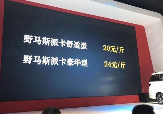野马2022新款新车2.3落地价,国产野马埃尔法