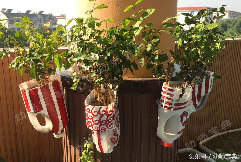 自然角创设分布图,自然角布置幼儿园