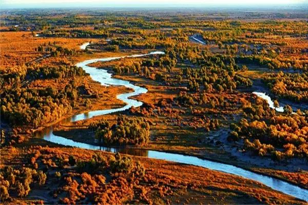 三千年的情缘,三千年的企盼只为这一季的金秋(附攻略)