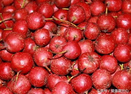 准爸爸收藏,老婆怀孕时最不能吃什么呀