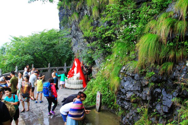 天天有人去山上采蘑菇,每天来观看的游客上万人