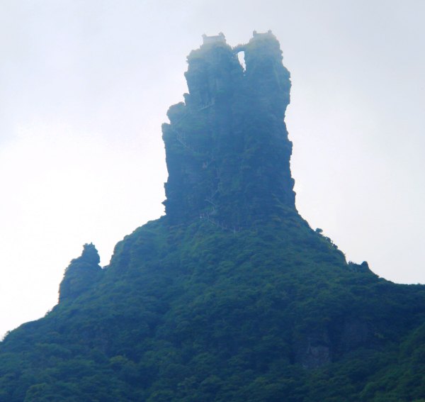 天天有人去山上采蘑菇,每天来观看的游客上万人