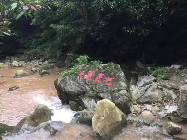 南宝山免费露营耍水,南宝山林海营地有什么耍的