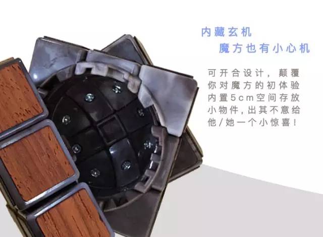 麦菲特带你体验一场原始森林的冒险！