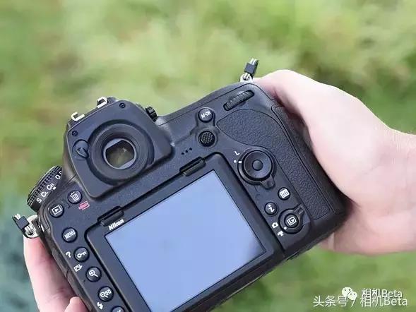 尼康d850打鸟设置,尼康d850测光教程