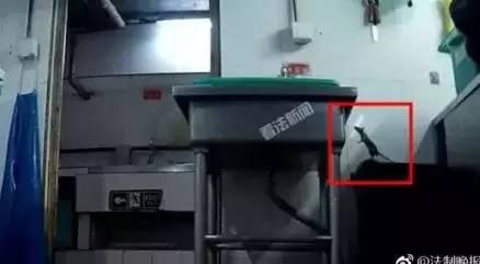 娴峰簳鎹炲嵄鏈哄叕鍏虫渚嬪強鍒嗘瀽璁烘枃,娴峰簳鎹炶繖娆＄殑椋熷搧瀹夊叏鍗辨満鍏叧