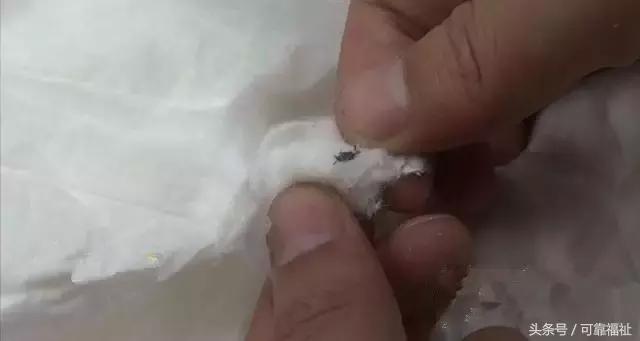 纸尿裤过敏宝宝能用什么纸尿裤,皮疹纸尿裤