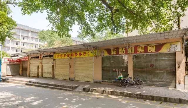 真光学校和真光中学有什么不同,真光中学简介