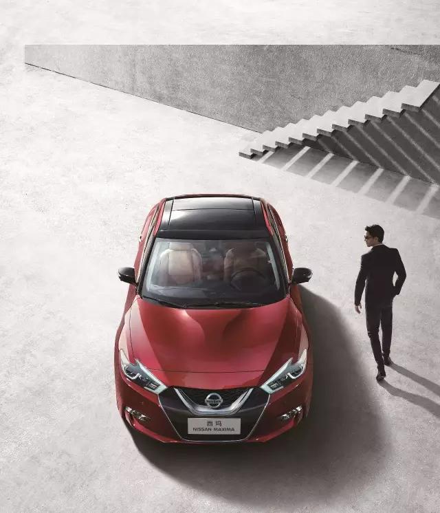 西玛是匹什么马,它跑的快吗?